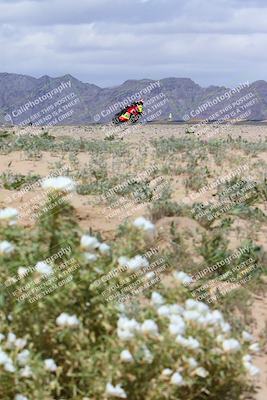 media/Apr-05-2024-Apex Assassins-CVMA Friday Practice (Fri) [[ee2ef04f2b]]/5-Trackday 1/Session 4 (Turn 9 Flowers)/